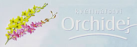 logo/avatar, Květinářství Orchidej