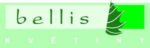 logo/avatar, Květiny Bellis