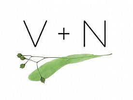 logo/avatar, V + N