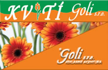 logo/avatar, Kvítí Goli